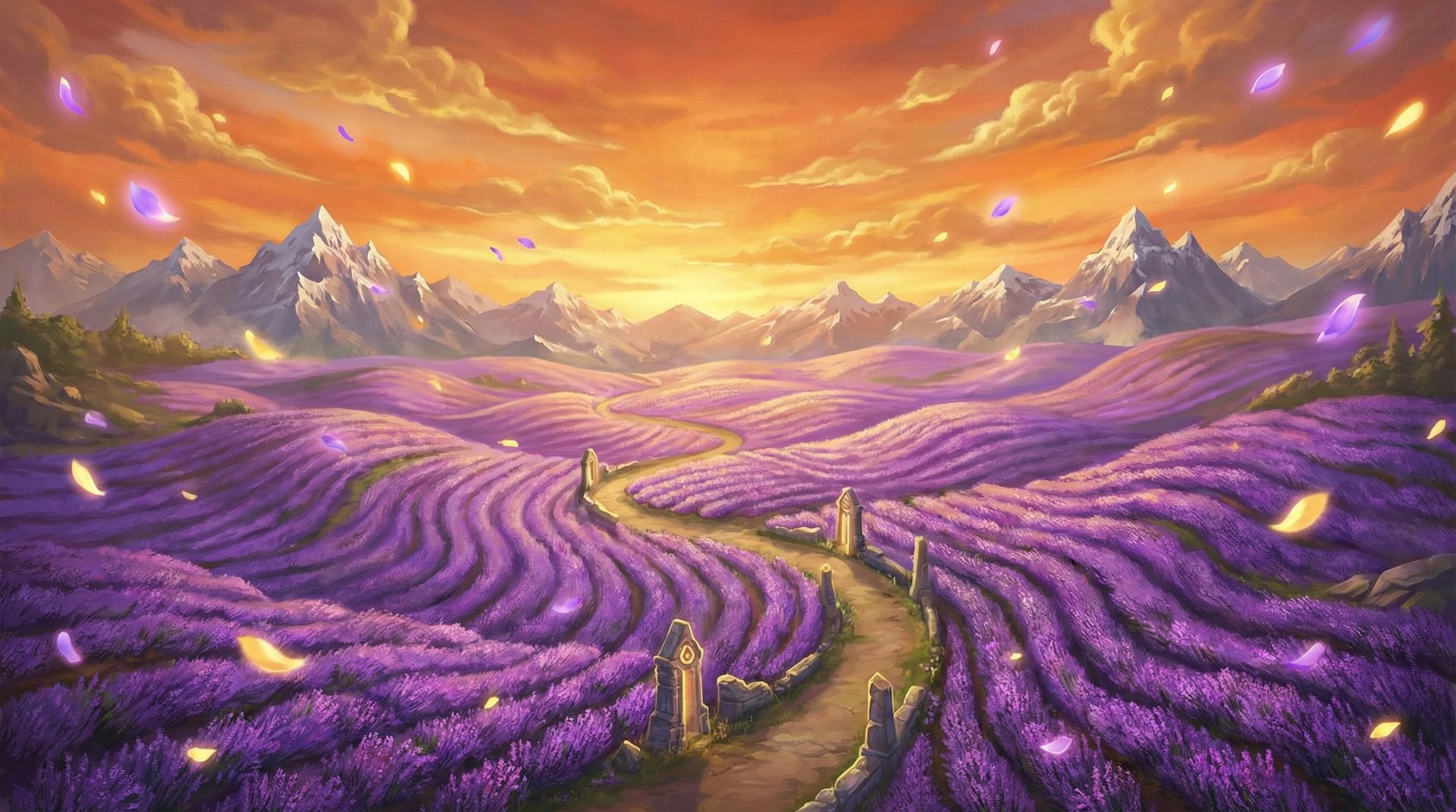 日本三级薰衣草花海航拍植物视频